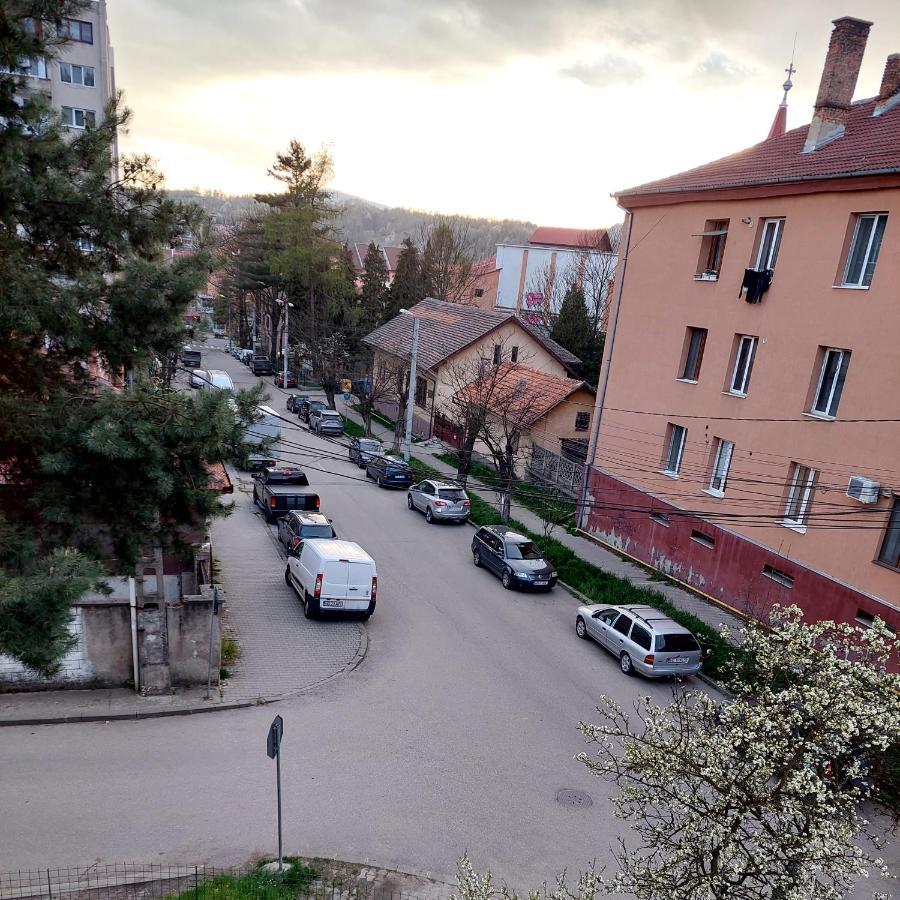 Fely Room Petrosani Exterior photo