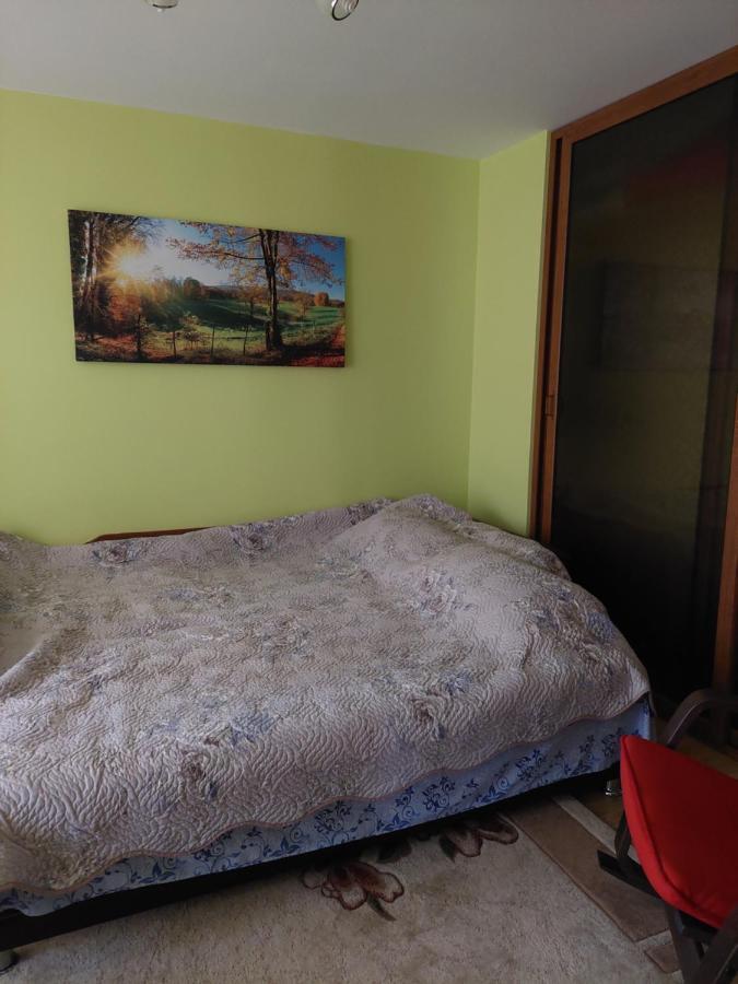 Fely Room Petrosani Exterior photo